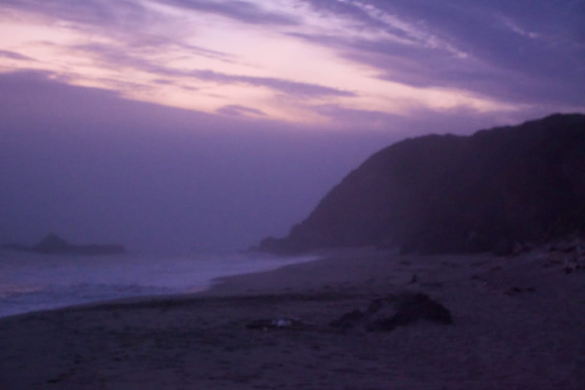 Point Lobos, California