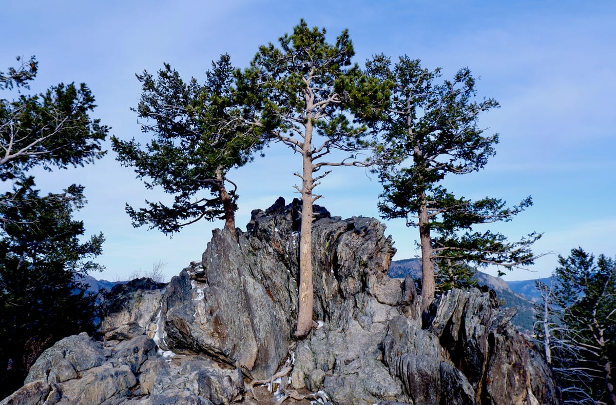 Rocky Mountain National Park, Colorado