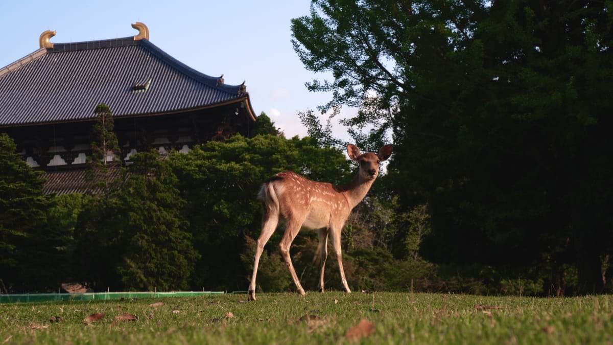 Nara, Japan