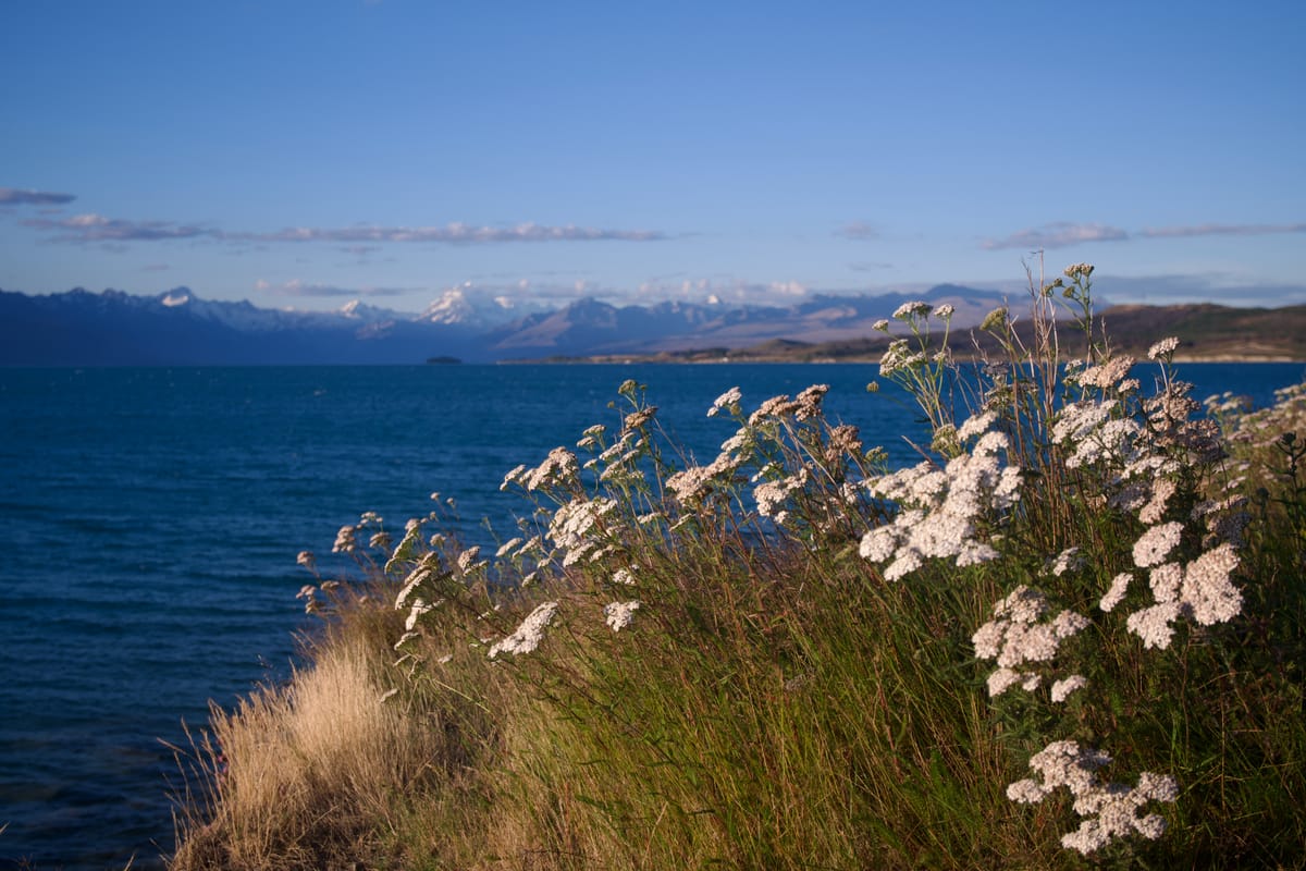 Lake Pukaki, New Zealand