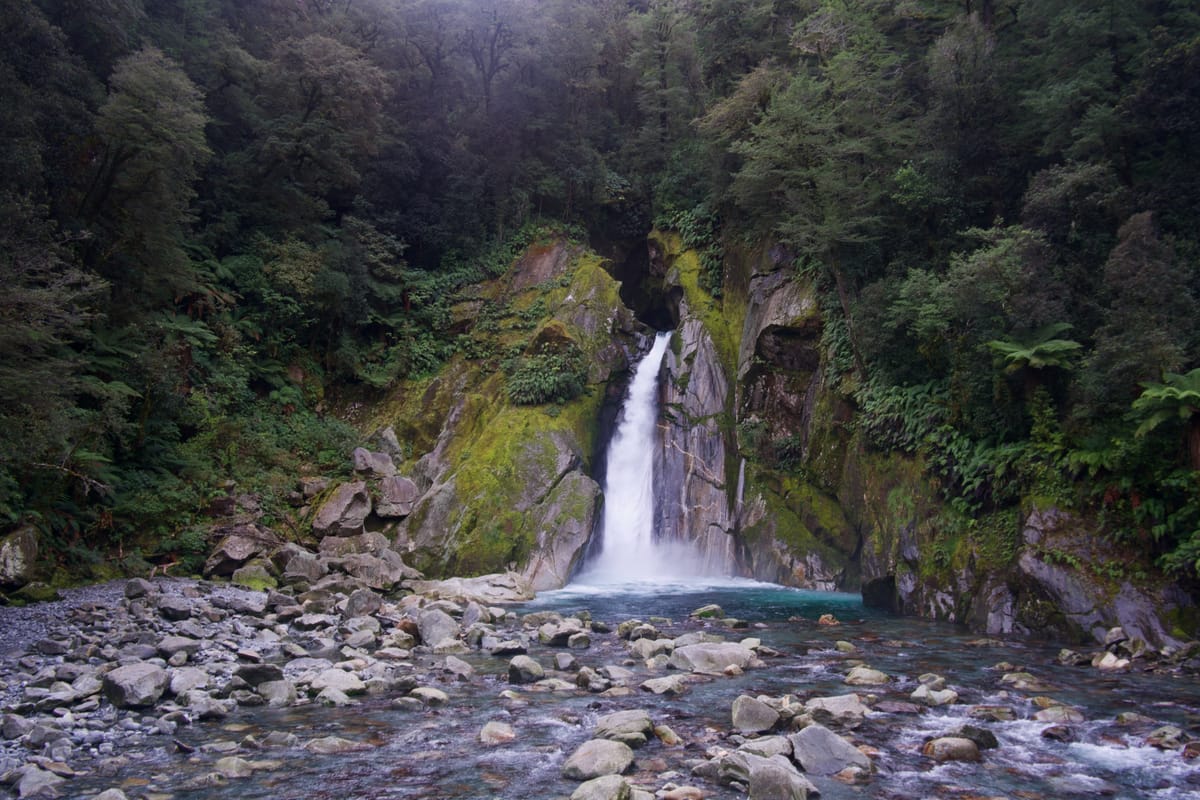 Fiordland, New Zealand