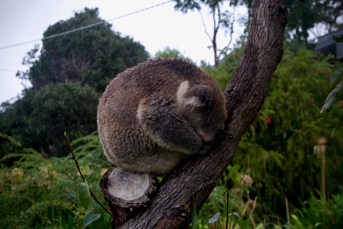 Victoria, Australia