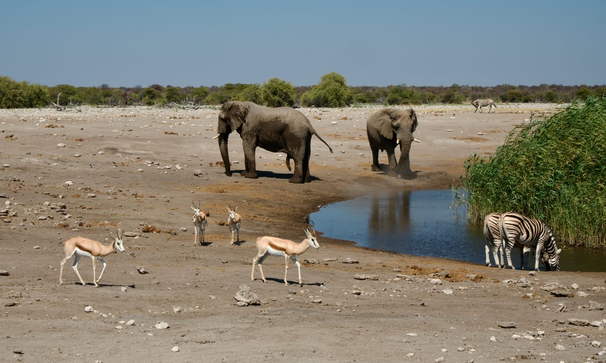 Etosha, Namibia