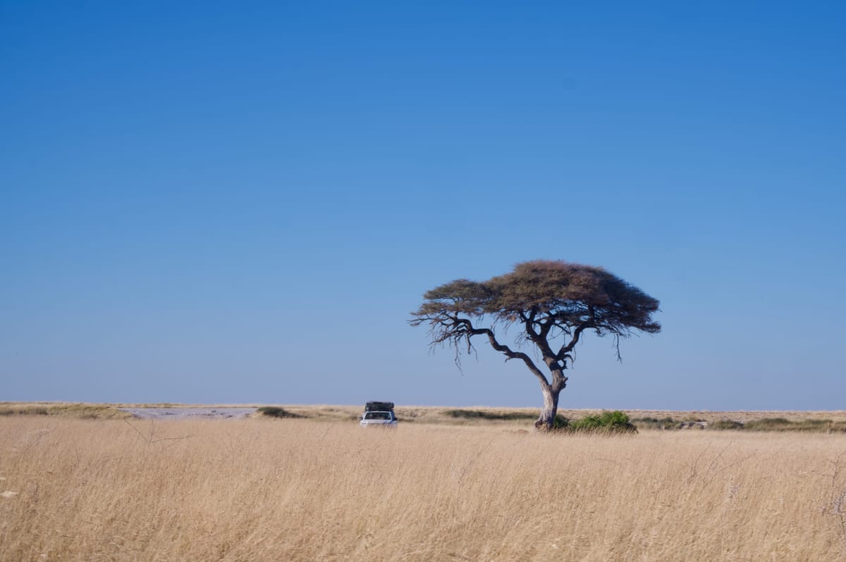 Etosha, Namibia