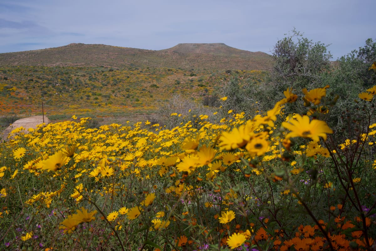 Namaqualand, South Africa