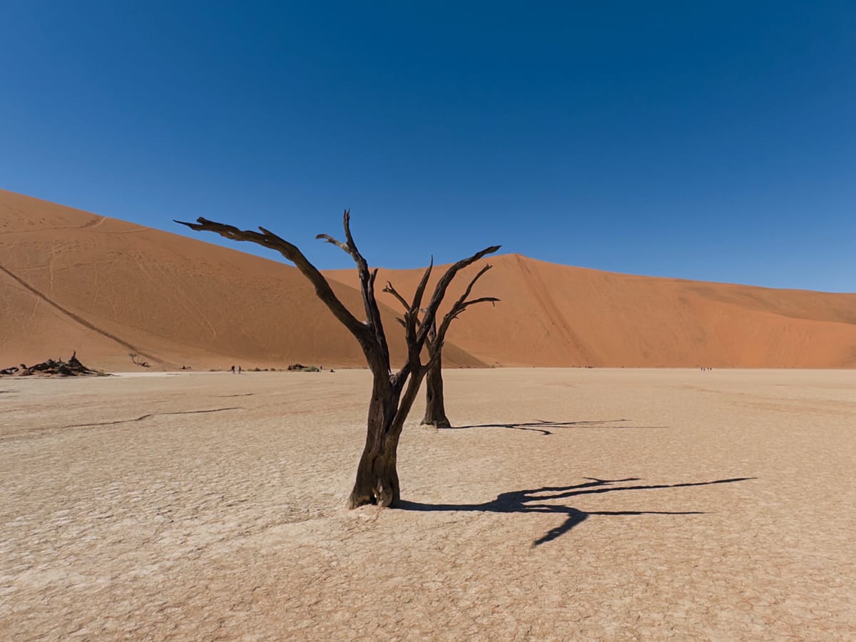 Deadvlei, Namibia